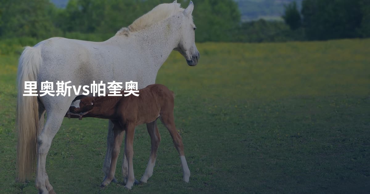 里奥斯vs帕奎奥