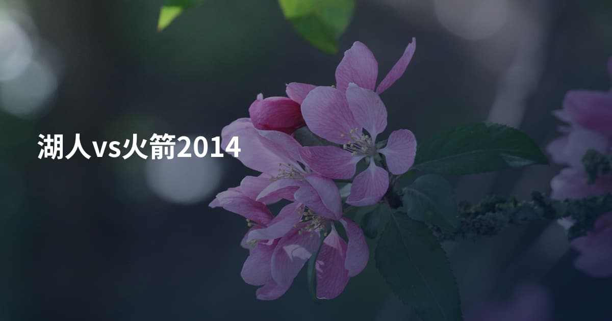 湖人vs火箭2014