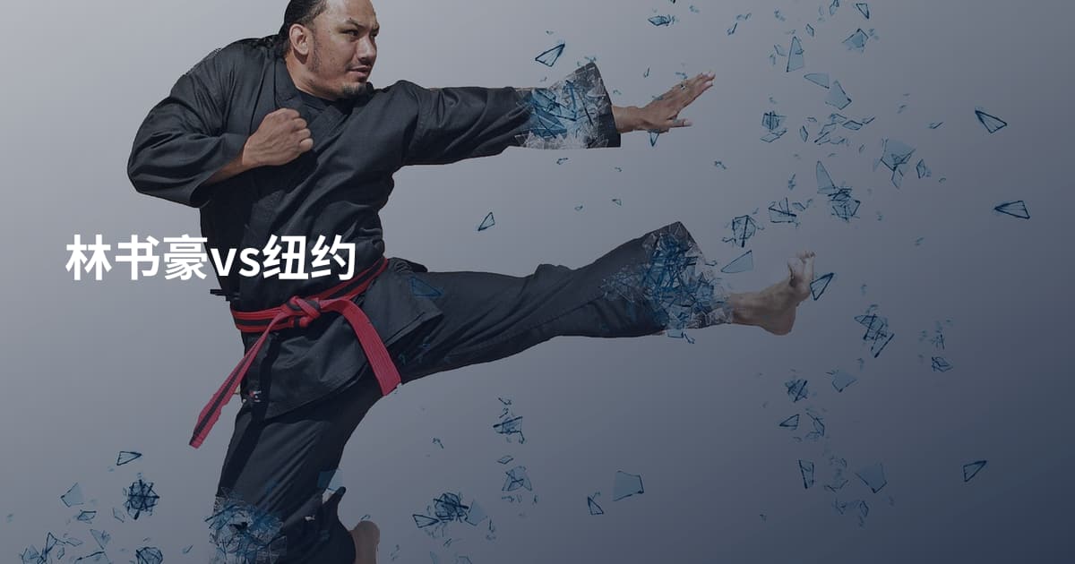 林书豪vs纽约