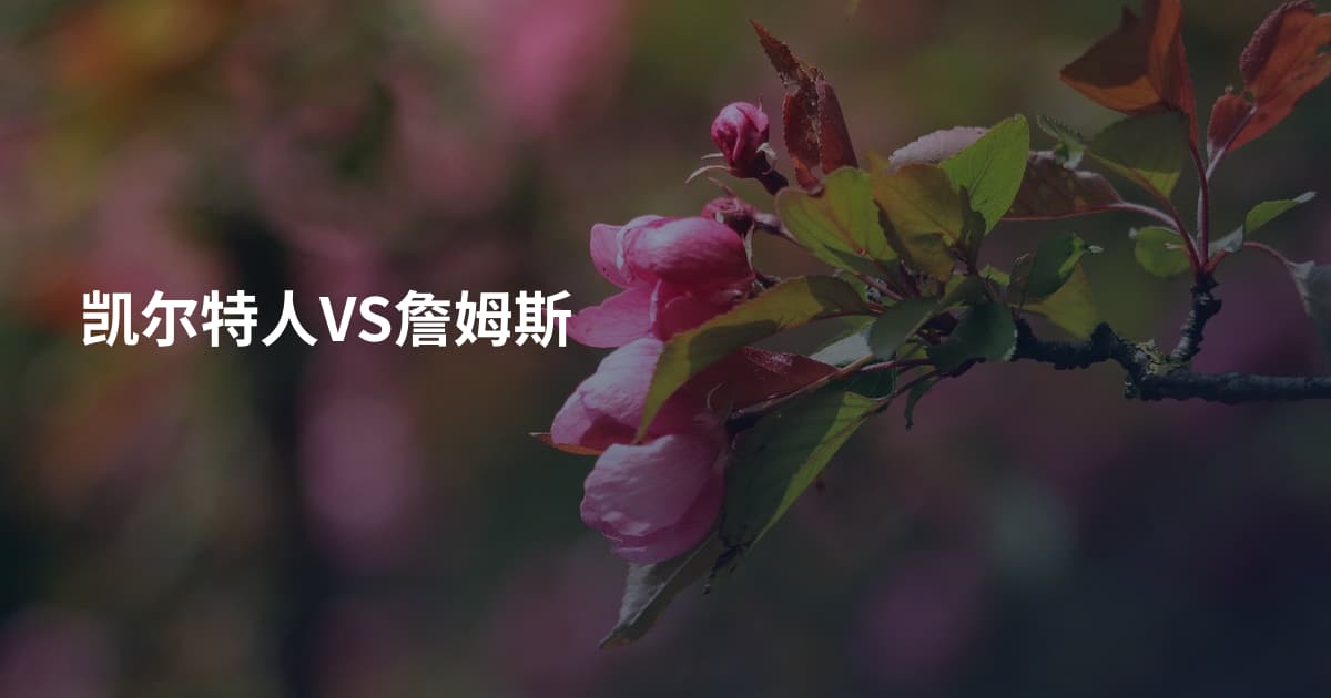 凯尔特人VS詹姆斯