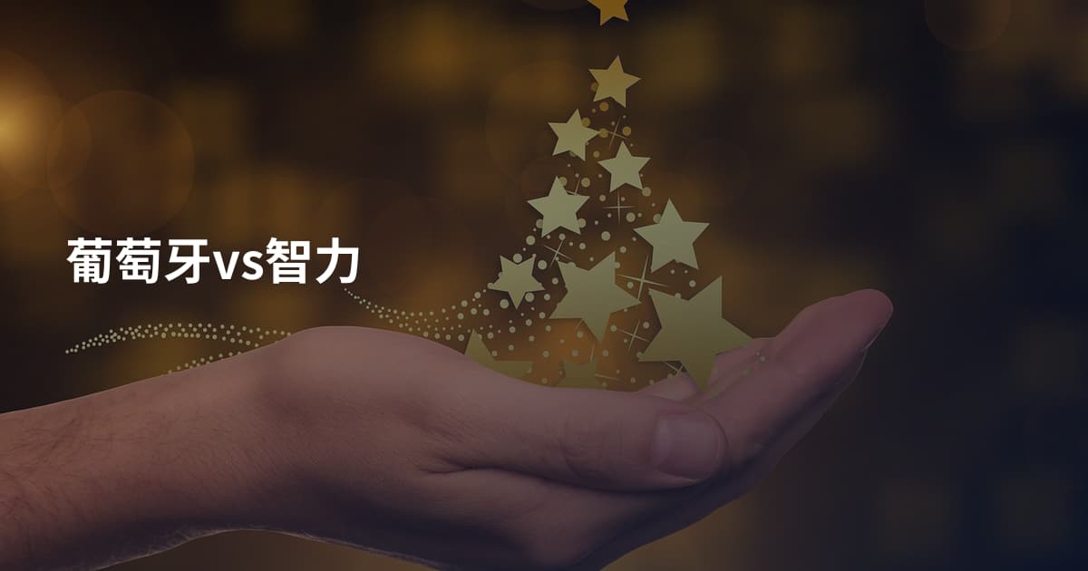 葡萄牙vs智力