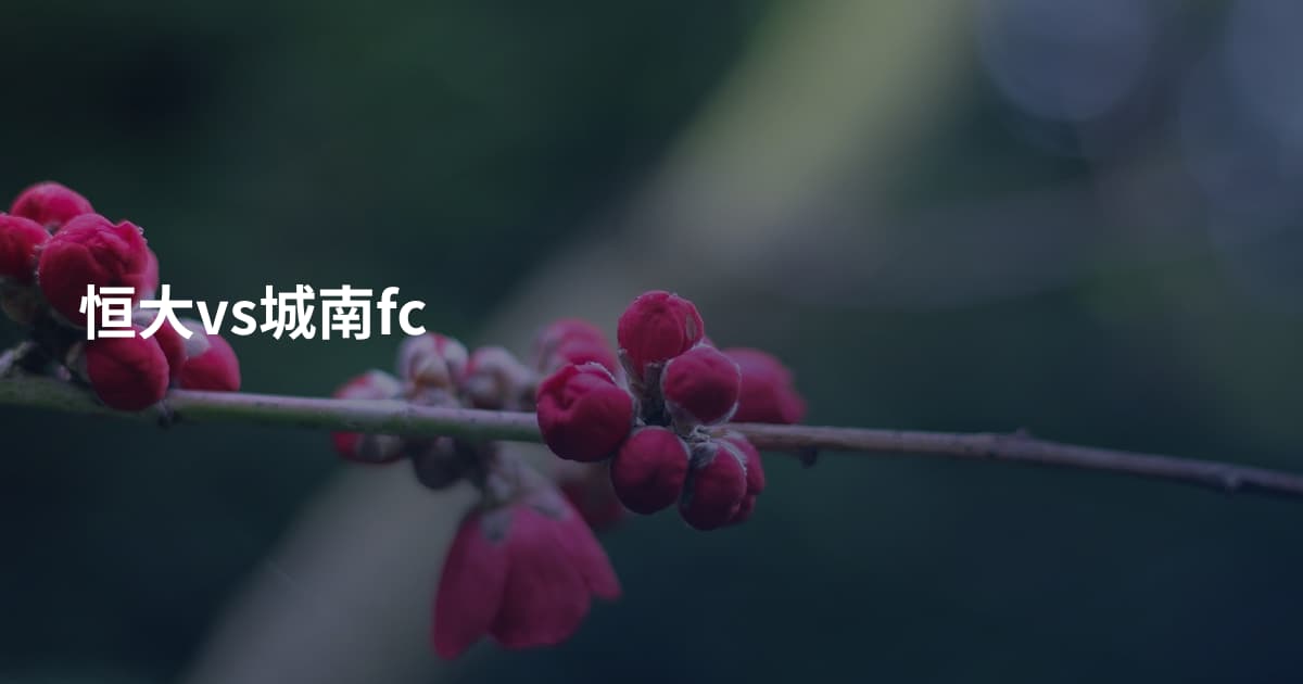 恒大vs城南fc