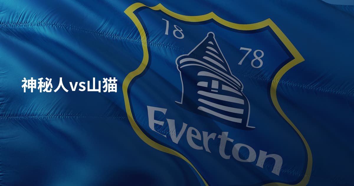 神秘人vs山猫
