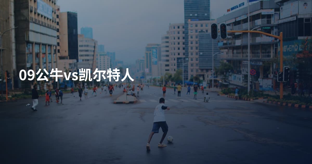 09公牛vs凯尔特人