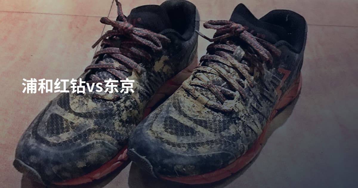 浦和红钻vs东京