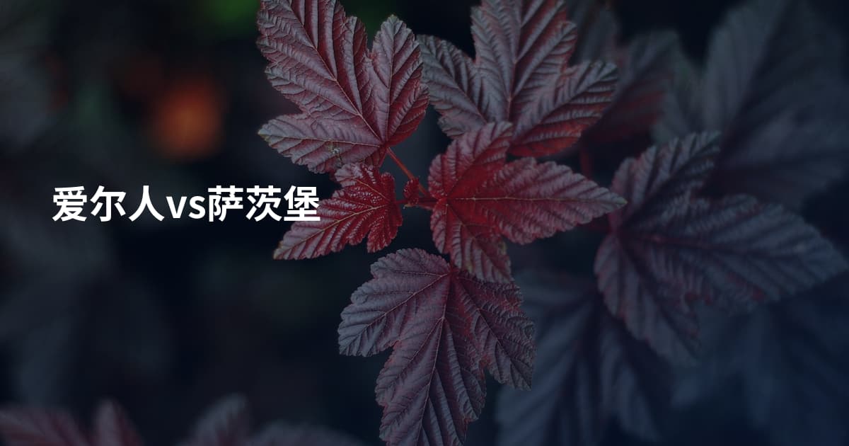 爱尔人vs萨茨堡
