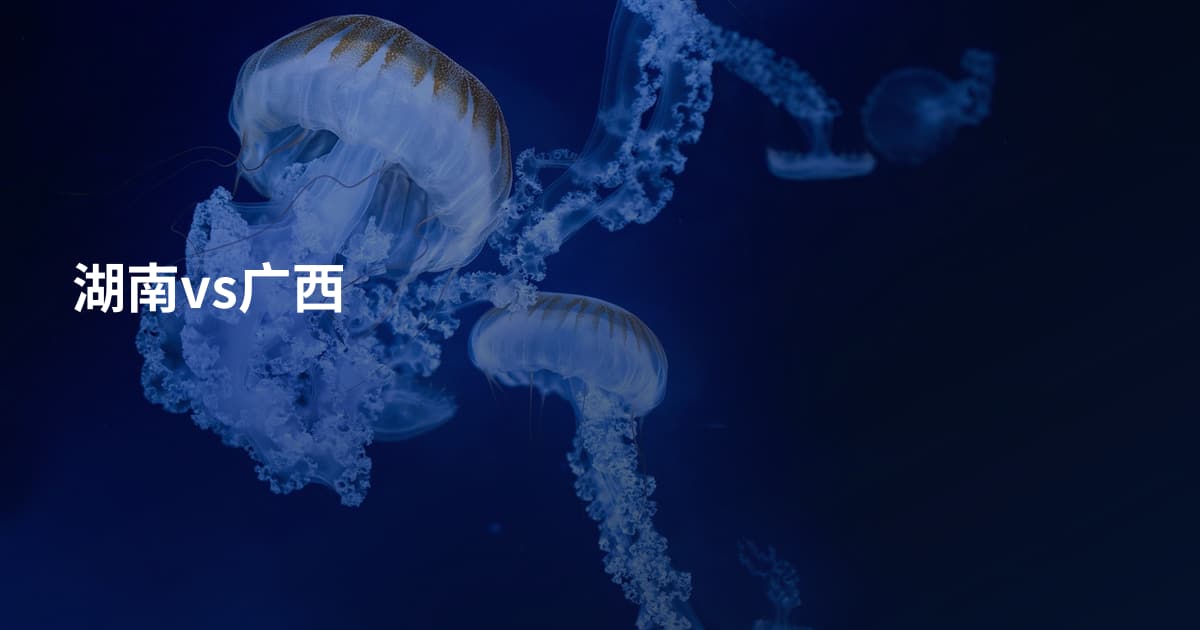 湖南vs广西