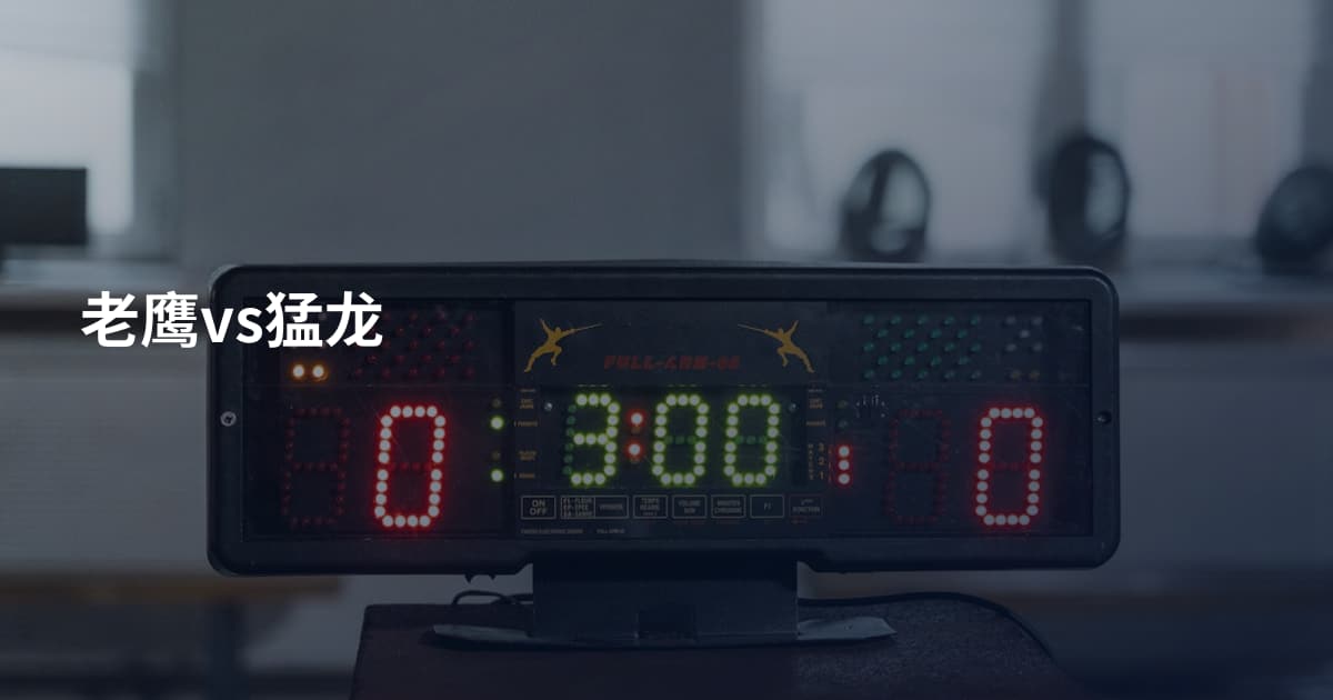 老鹰vs猛龙