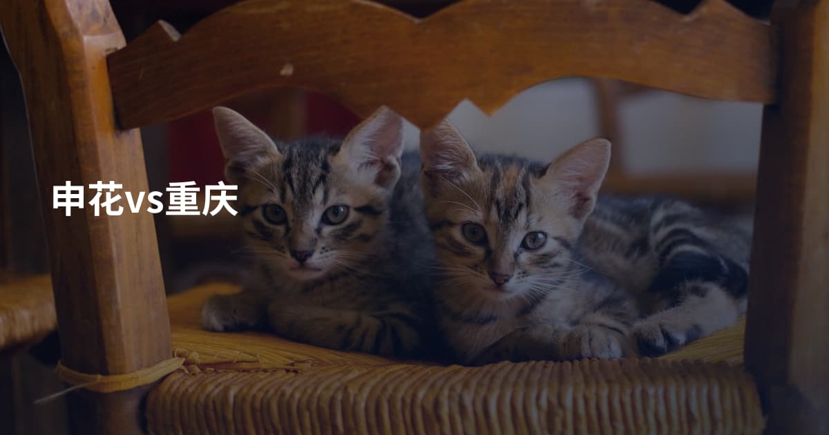 申花vs重庆