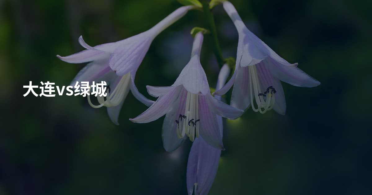 大连vs绿城