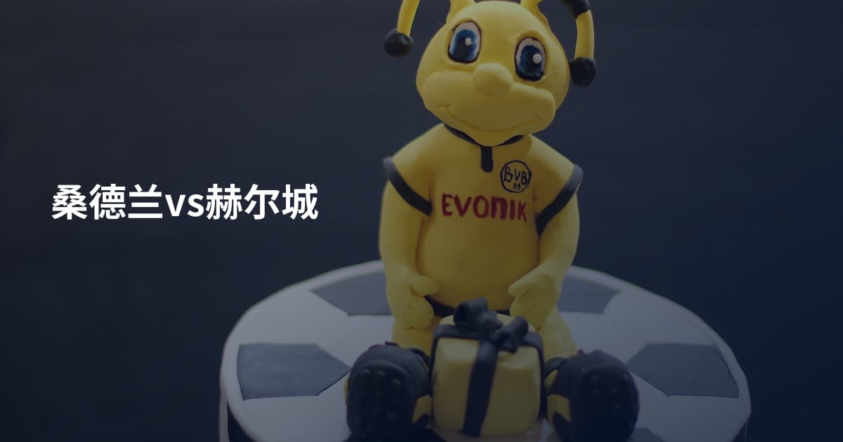 桑德兰vs赫尔城