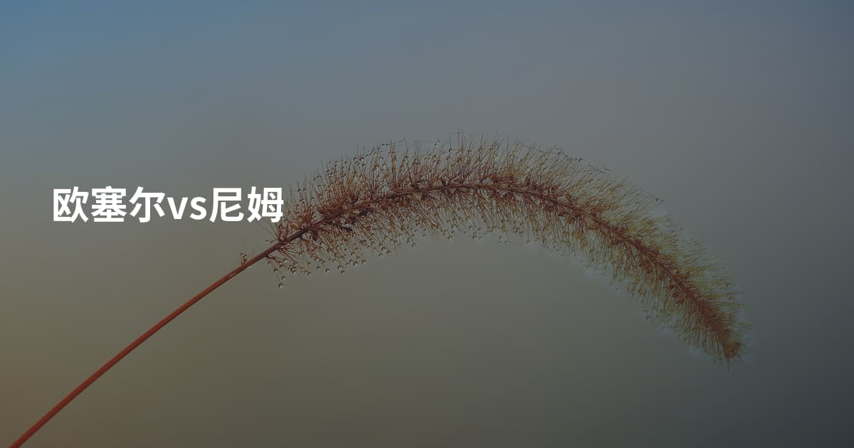欧塞尔vs尼姆