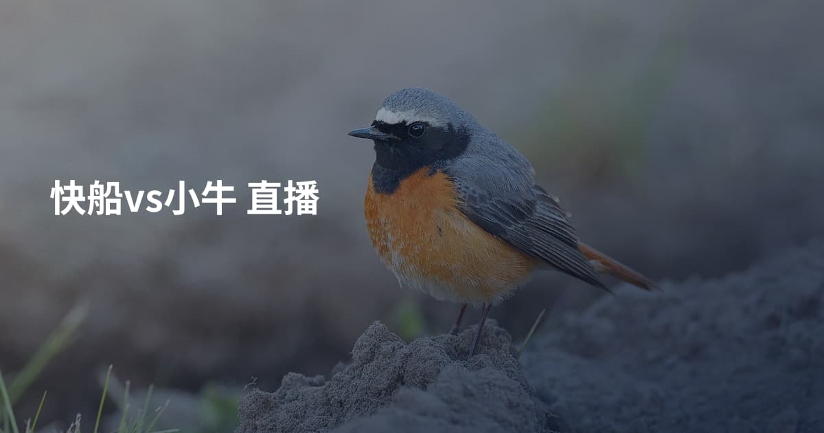 快船vs小牛 直播