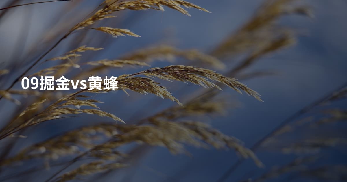 09掘金vs黄蜂