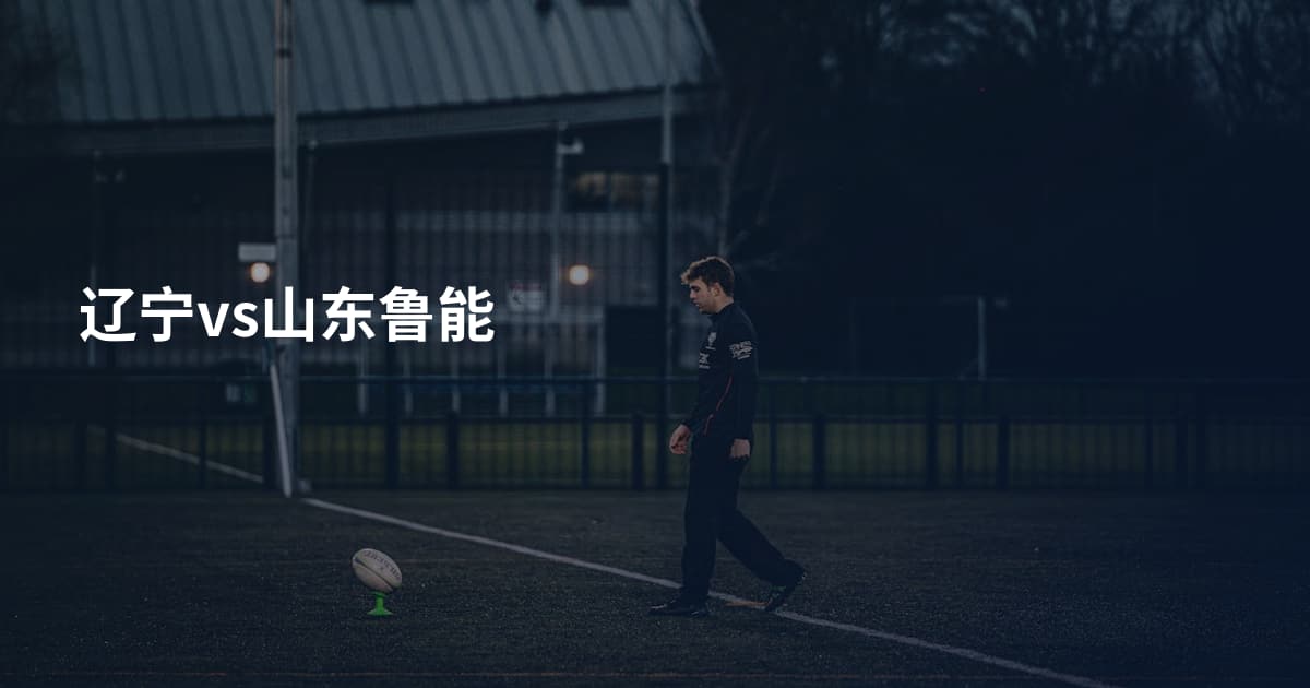 辽宁vs山东鲁能