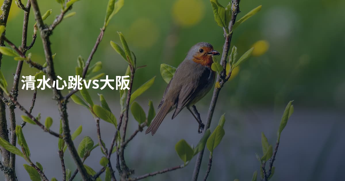清水心跳vs大阪