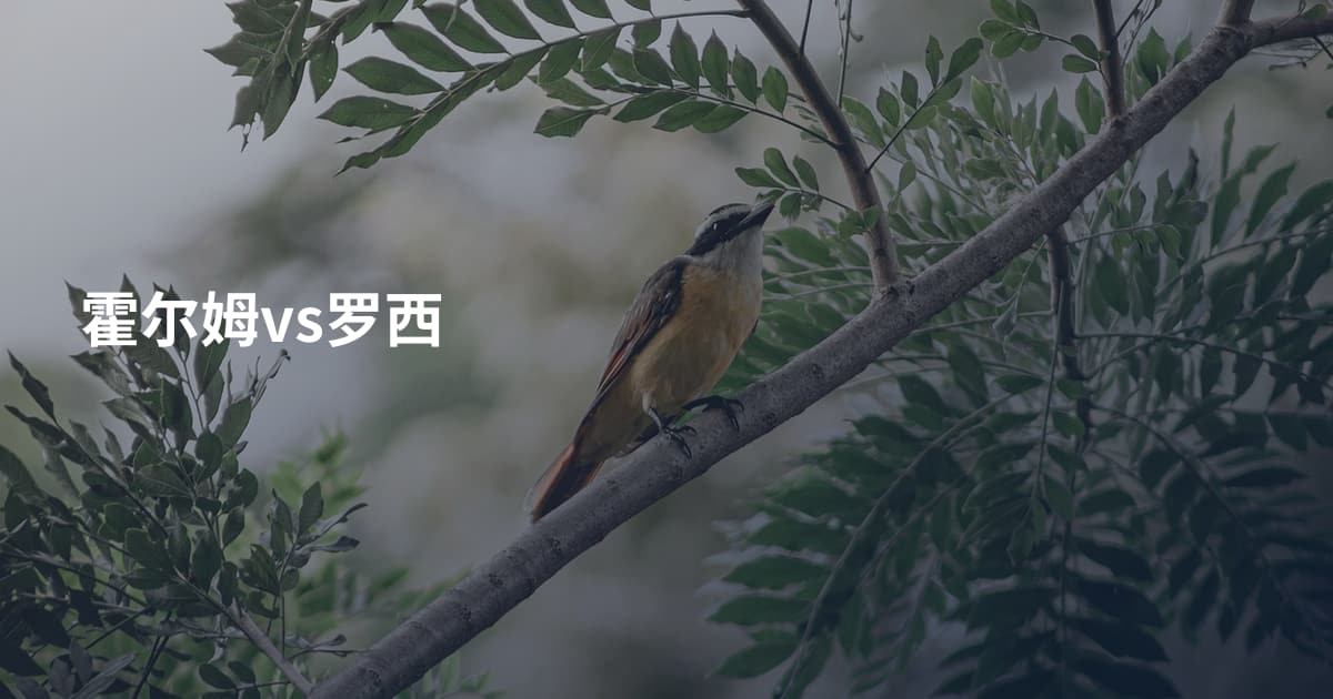 霍尔姆vs罗西
