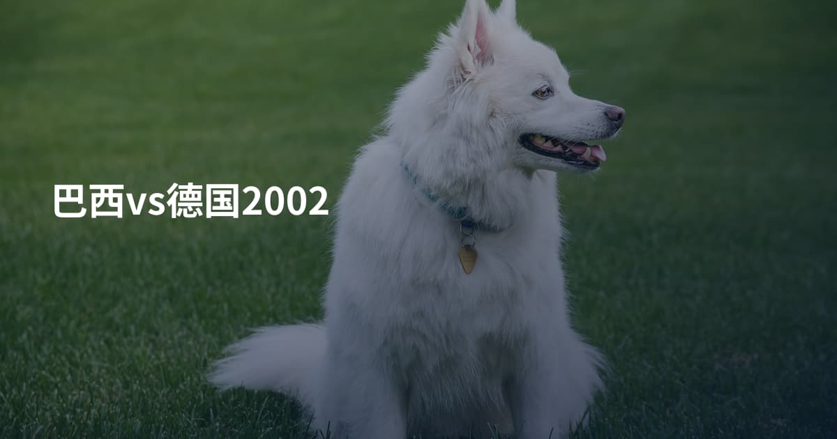 巴西vs德国2002