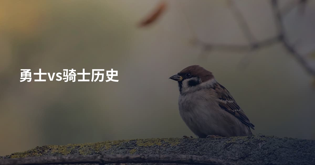 勇士vs骑士历史