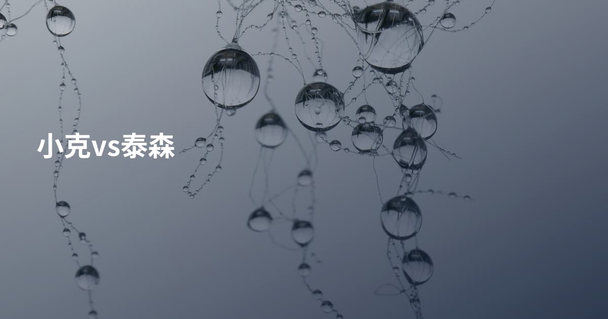 小克vs泰森