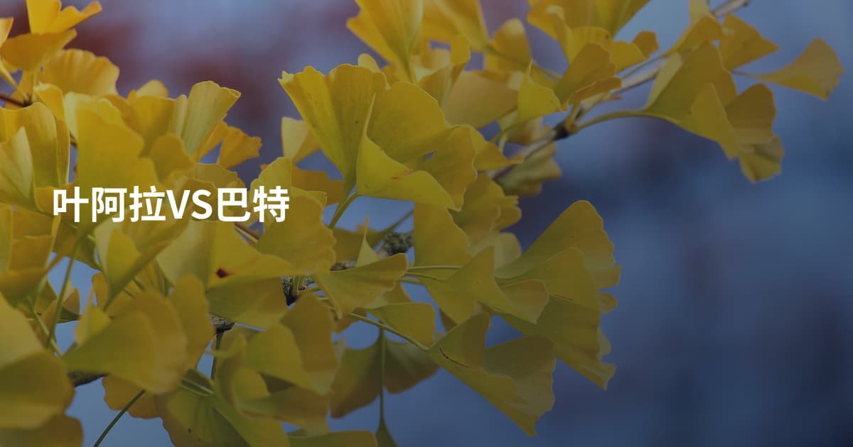 叶阿拉VS巴特