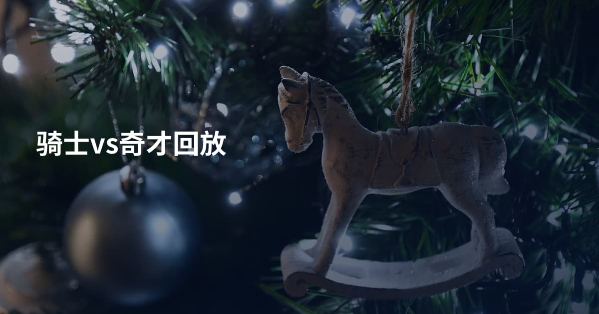 骑士vs奇才回放