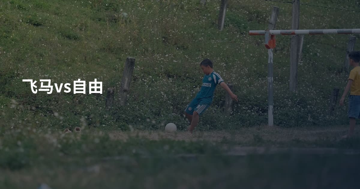 飞马vs自由