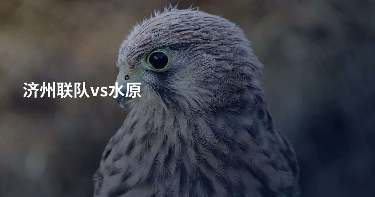 济州联队vs水原