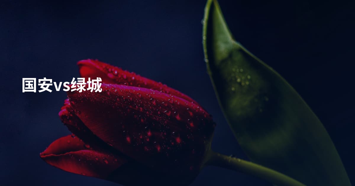 国安vs绿城