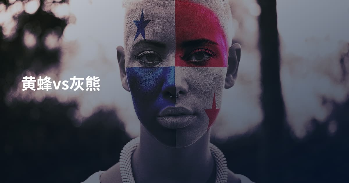 黄蜂vs灰熊