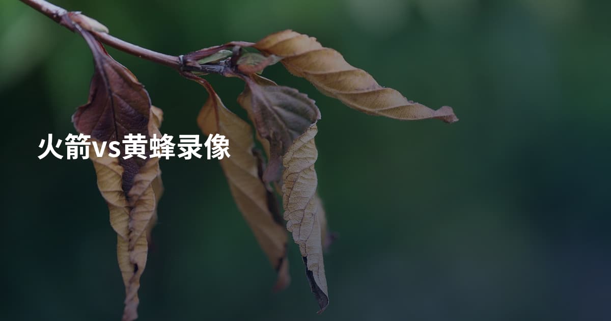 火箭vs黄蜂录像