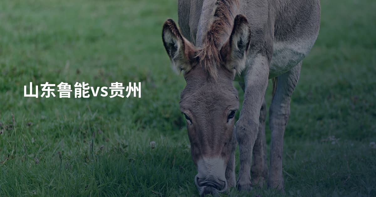 山东鲁能vs贵州