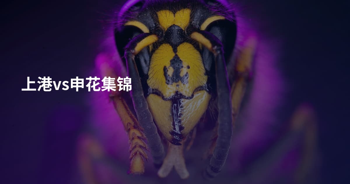 上港vs申花集锦