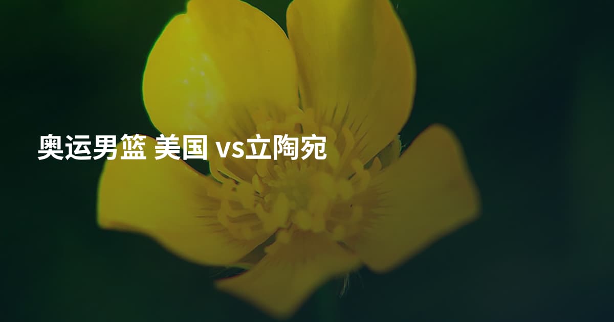 奥运男篮 美国 vs立陶宛