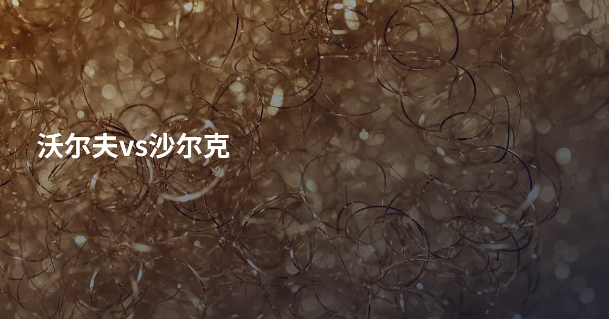 沃尔夫vs沙尔克
