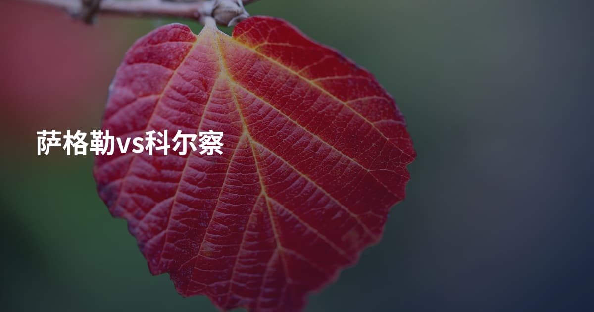 萨格勒vs科尔察
