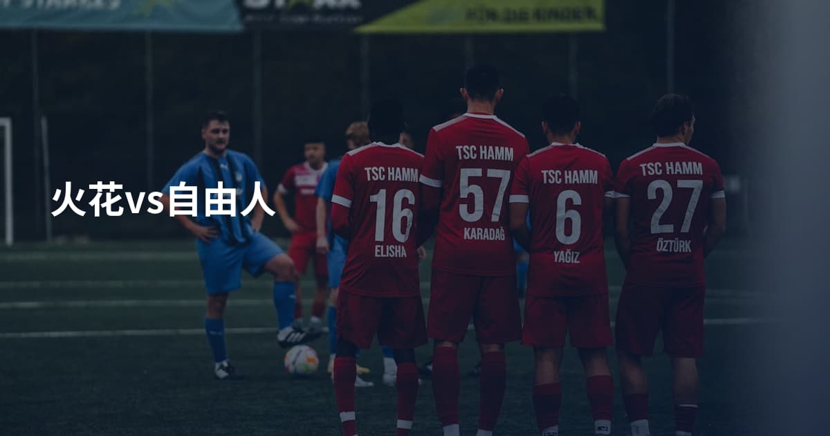 火花vs自由人