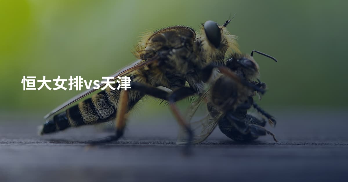 恒大女排vs天津
