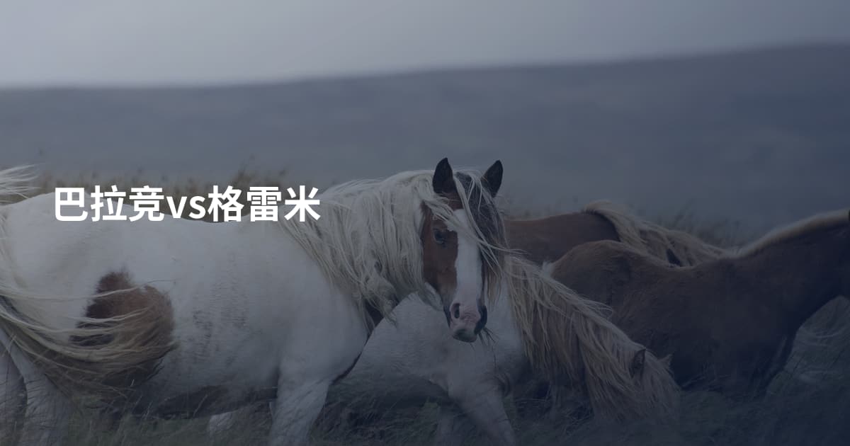 巴拉竞vs格雷米
