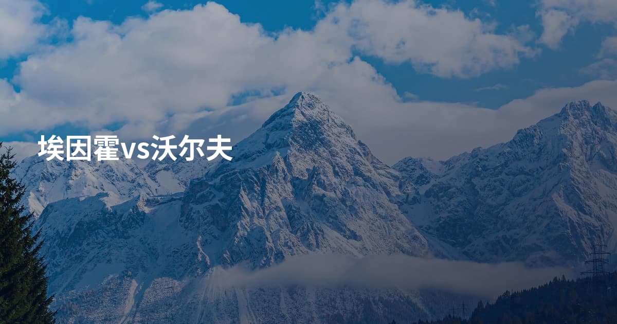 埃因霍vs沃尔夫