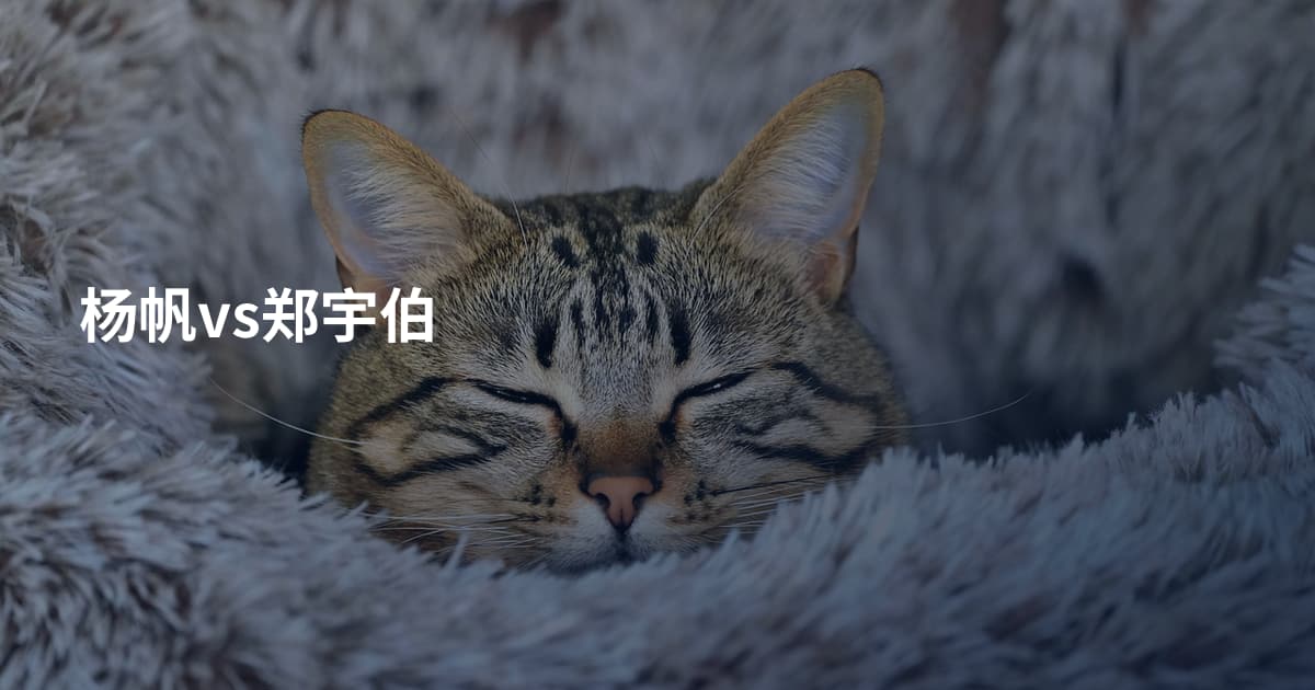 杨帆vs郑宇伯