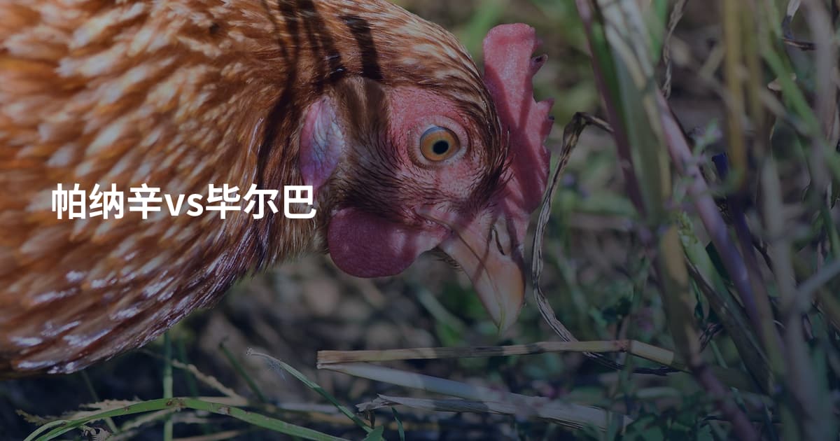 帕纳辛vs毕尔巴