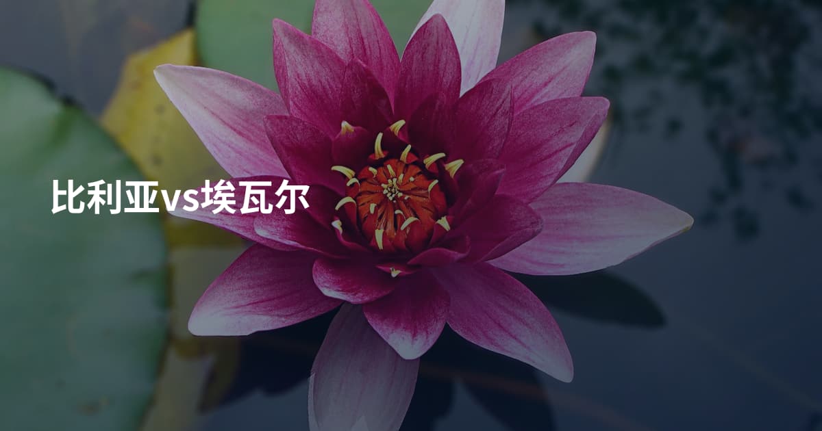 比利亚vs埃瓦尔