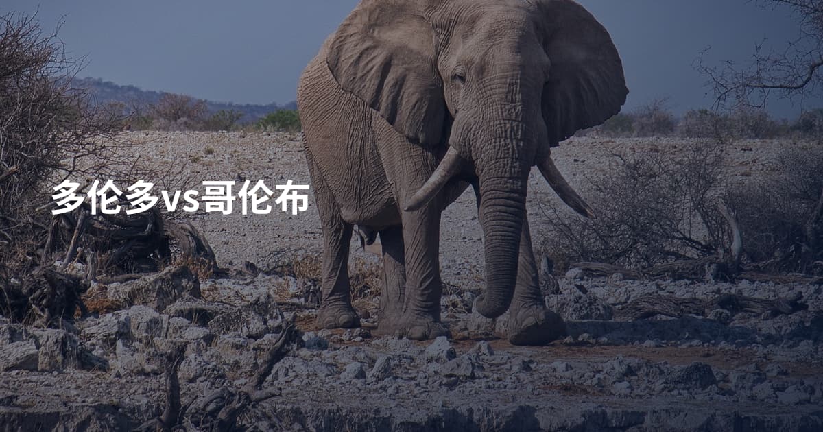 多伦多vs哥伦布