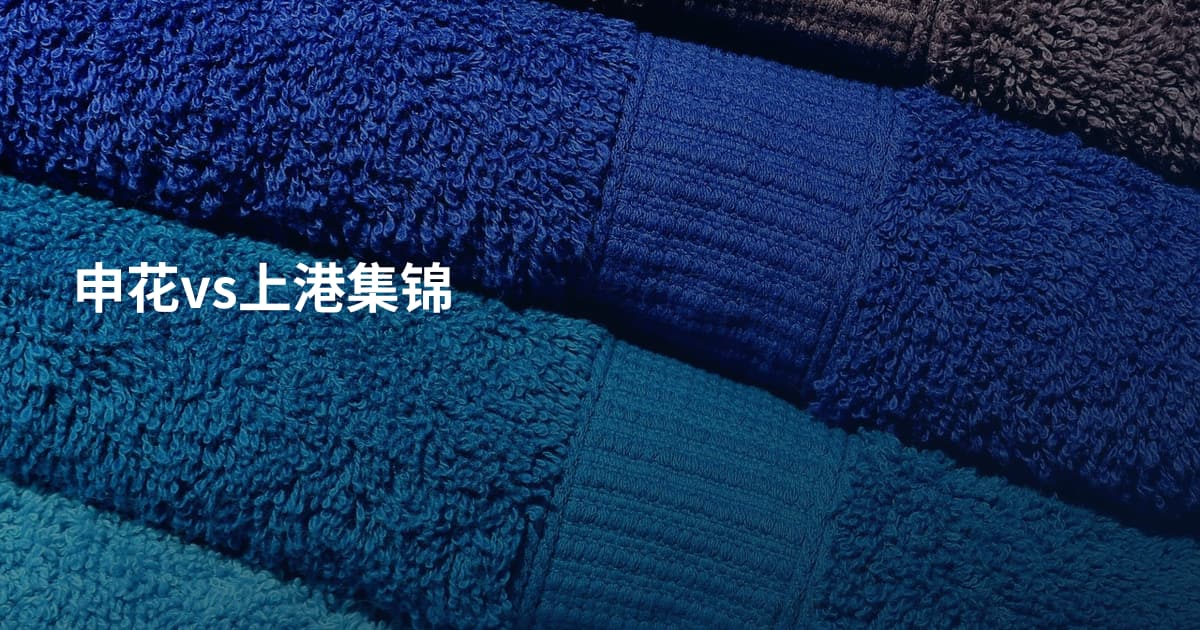 申花vs上港集锦