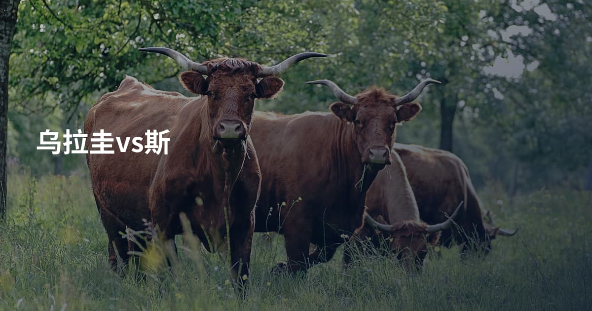 乌拉圭vs斯