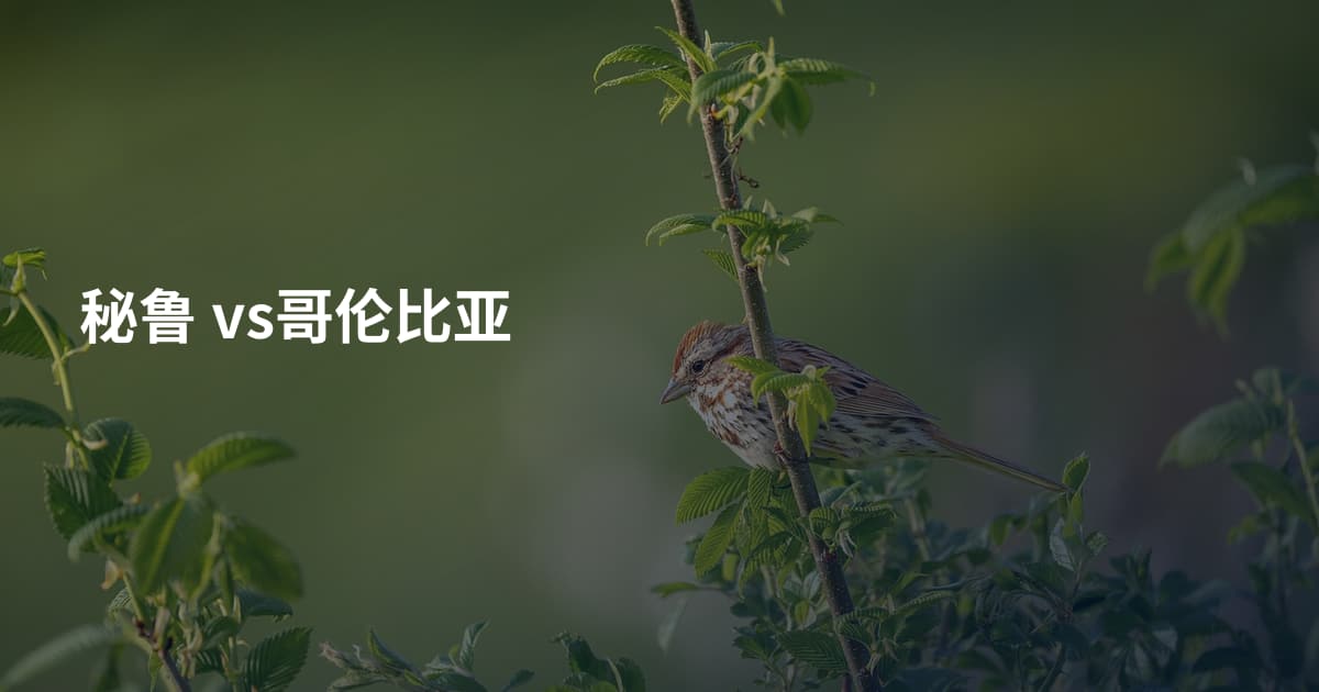秘鲁 vs哥伦比亚