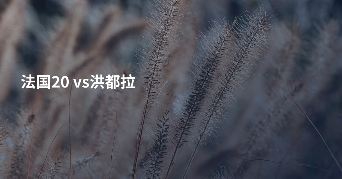 法国20 vs洪都拉