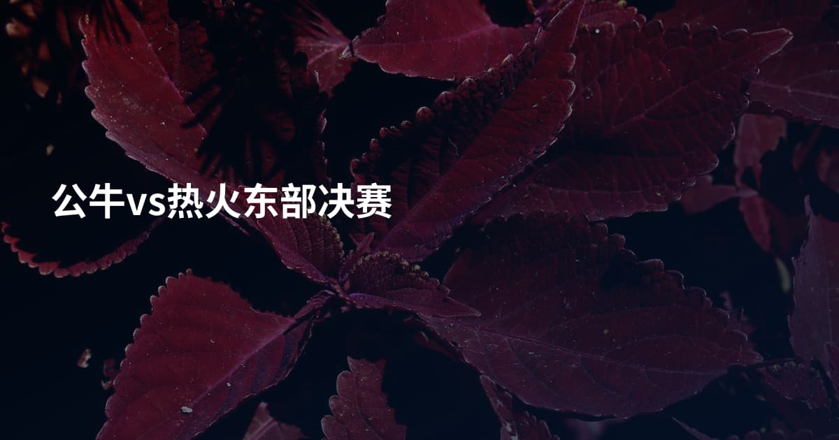 公牛vs热火东部决赛