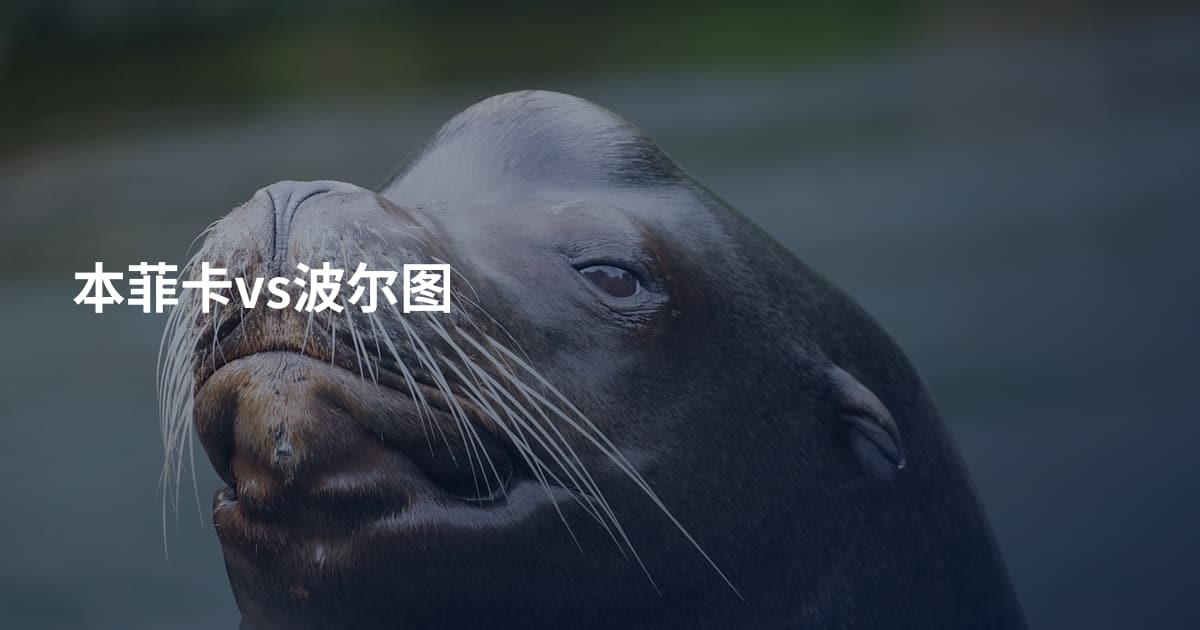 本菲卡vs波尔图